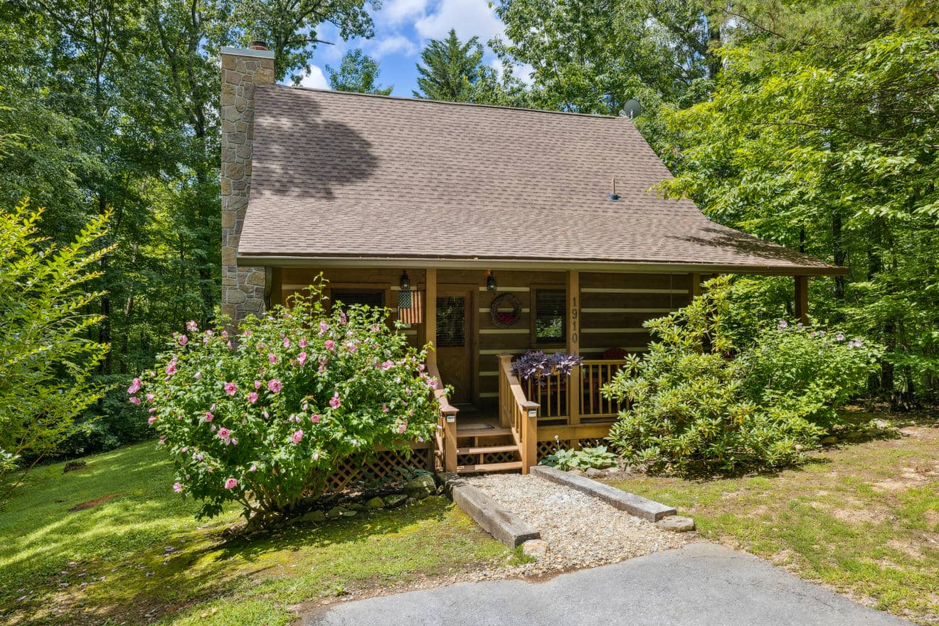 02-IMG_0006 02-IMG_0006